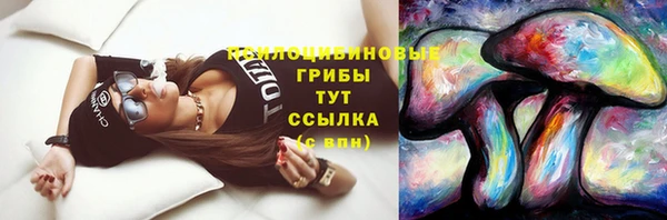 дмт Дмитровск