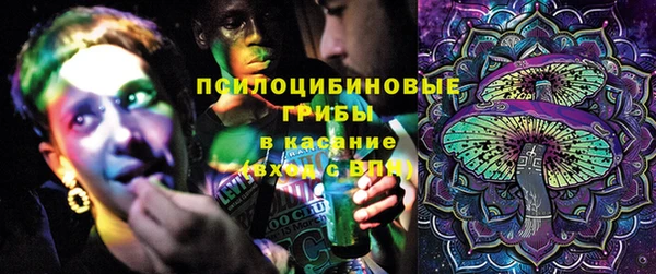 дмт Дмитровск