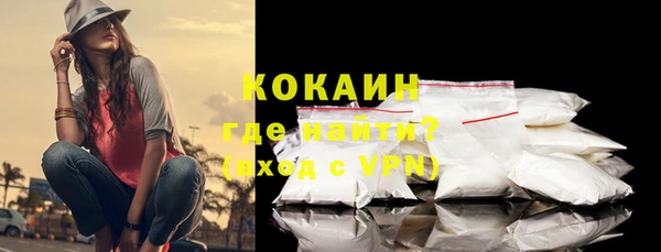 дмт Дмитровск
