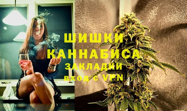 дмт Дмитровск