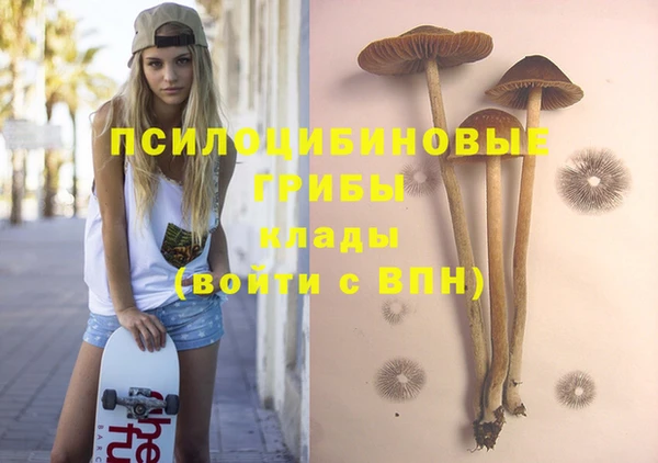 героин Дмитриев