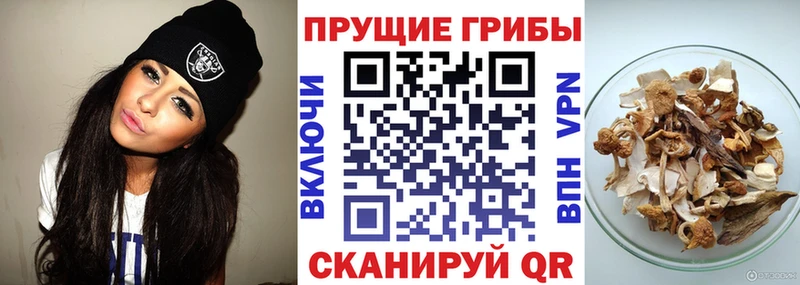 Галлюциногенные грибы GOLDEN TEACHER  что такое наркотик  Таганрог 